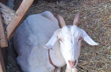 Mardi Gras, Upwell - Foto 16