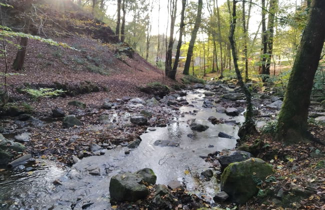 La Grange de David - Photo 80