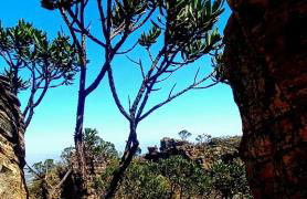 Alta Canastra - Foto 58