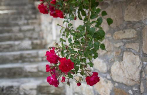 Agriturismo Il Borgo - Foto 30