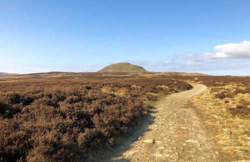 Ivy Cottage - Photo 31