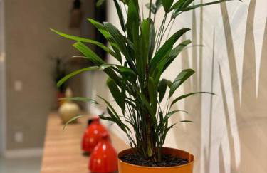 Apartamento Jurerê Internacional, Florianópolis - Foto 17