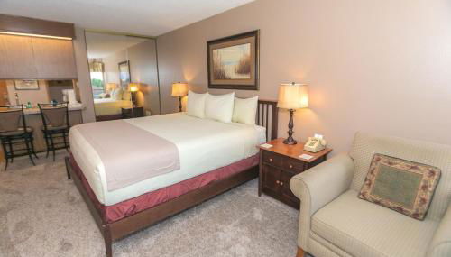 The Grey Gull - Foto 4