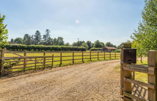 Tudor Rose - Foto 27