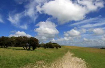 Rogate Cottage Retreat - Foto 33