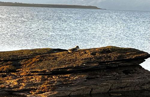 Waterloo Sunset - Foto 38