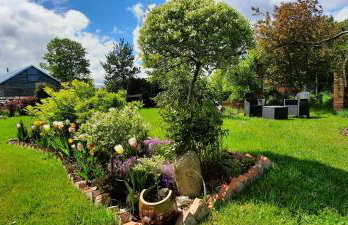 Pod Wierzbą Apartament na Kaszubach - Foto 1