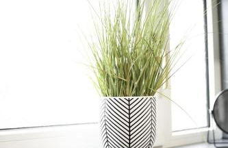 Calgary House - Foto 14