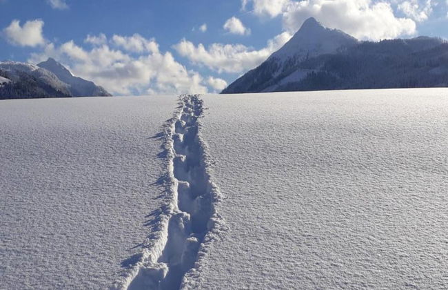 Apartment in Altenmarkt in Pongau Near ski Area - Foto 31