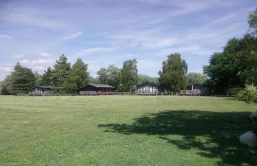 Puddledock - luxury lodge - Romney Marsh, Kent - Photo 38