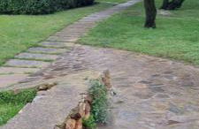 Casa vacanza da Gabry sardinia - Photo 29