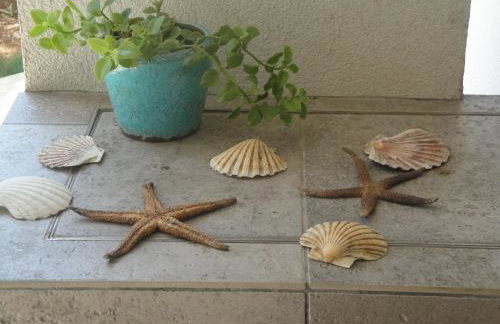 Holiday Home Mirna - Foto 50