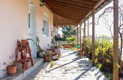 Sofia's Garden View - Photo 26