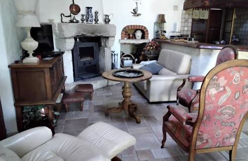 le héron cendré - Foto 5