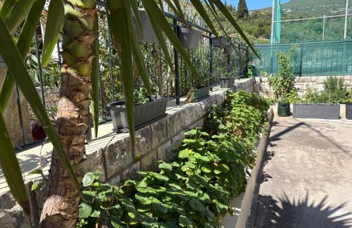 Villa Luka - Foto 15