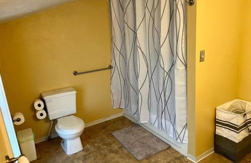 Historic Home with Farm Fresh Eggs in Denver - Foto 27