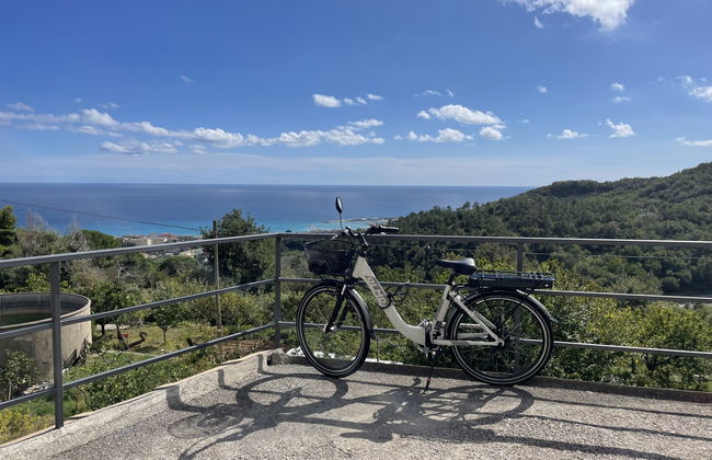 Casa del Pernambuco (PTL205) - Foto 2