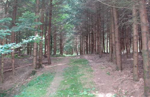 Ferienhaus "Kleine Auszeit" Parkstraße - Foto 40