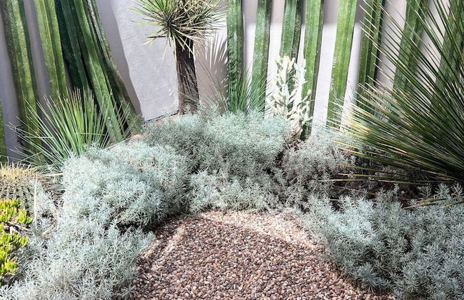 Malen House San Miguel de Allende Mexico - Foto 40