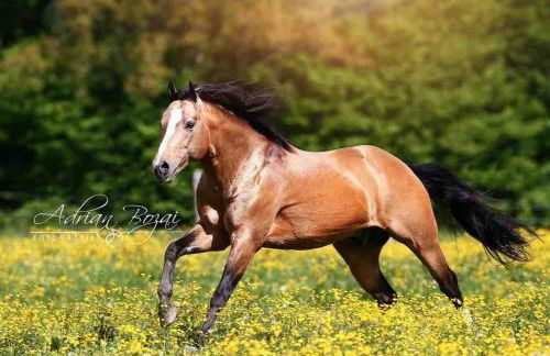 Ferien auf dem Eliesenhof - Foto 39