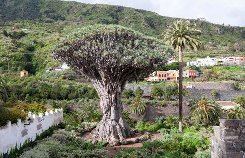 TenoHomes Oceanview Studio with Balcony - Foto 32