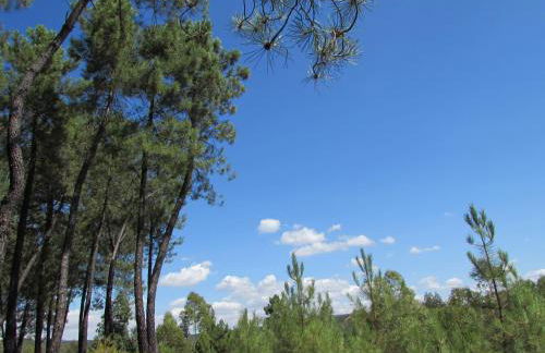 Casa Rural Miel y Romero - Foto 33