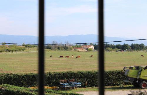 Les Gîtes de Genas - Foto 39