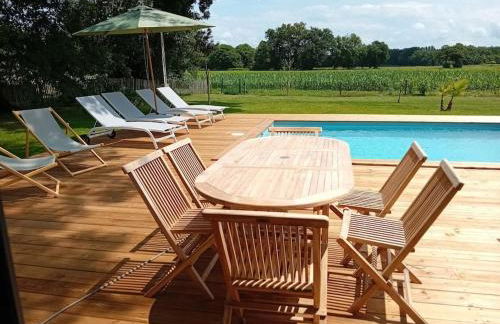 Maison neuve avec piscine chauffée, 4 kms de Contis plage - Foto 7