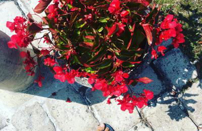 Studio du Cherche Midi - Foto 17