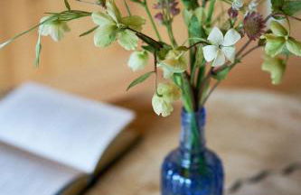 L'îlot du 9 - Cabane & spa au bord du lac - Foto 22