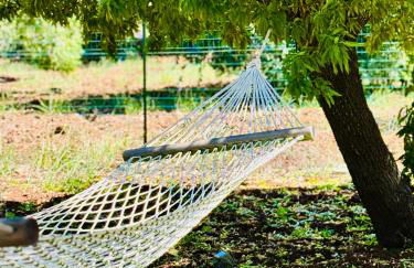 La dimora di Afrodite - Foto 13