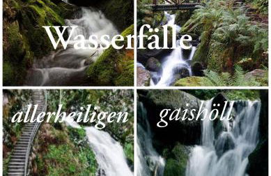 Gaishöll-Wasserfälle Apartment Schwarzwald - Foto 3