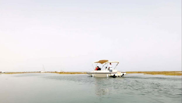 Barco ecológico navegando