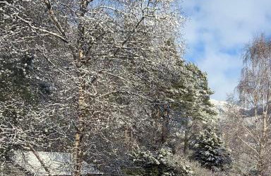 The Pines Self-catering cottage,Wester Ross, Scotland - Foto 32