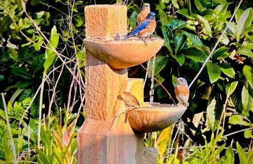 Nature Inspired Villa Designed for Wellness - Foto 42