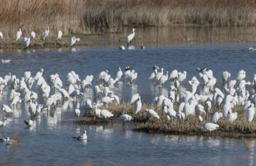 Casa rural La Esencia de Don Quijote - Foto 57