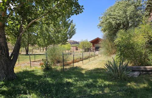 Guest House - Foto 25