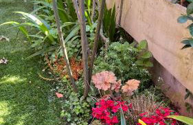 Garden Suite - Foto 3