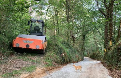 O Muíño da Balsiña - Foto 15