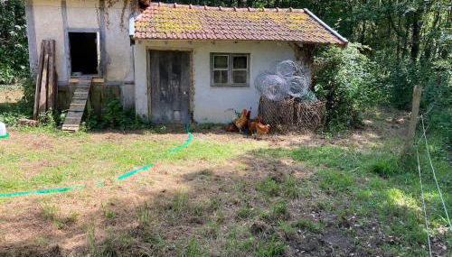 Country house! Maison de campagne! - Foto 3