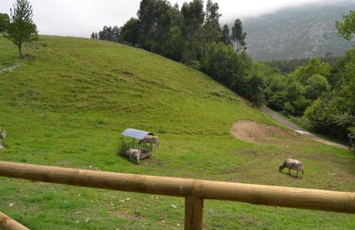 Casa de Aldea Ruiloba - Foto 30
