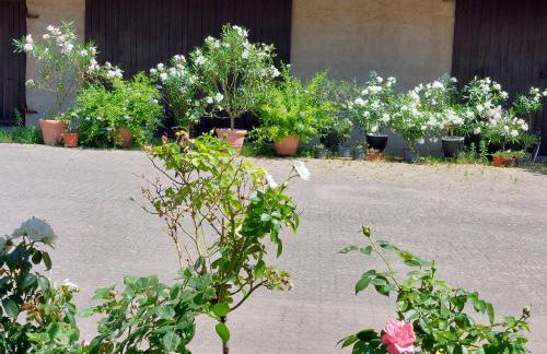 Landpartie - Foto 27