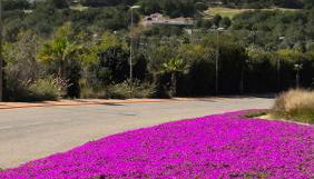 Las Colinas Golf - Foto 3