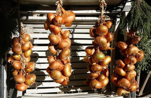 Solimago Dimora Storica - Foto 98