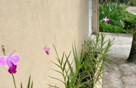 LINDO SOBRADO PERTINHO DA PRAIA - WiFi 600 MEGAS - Foto 58