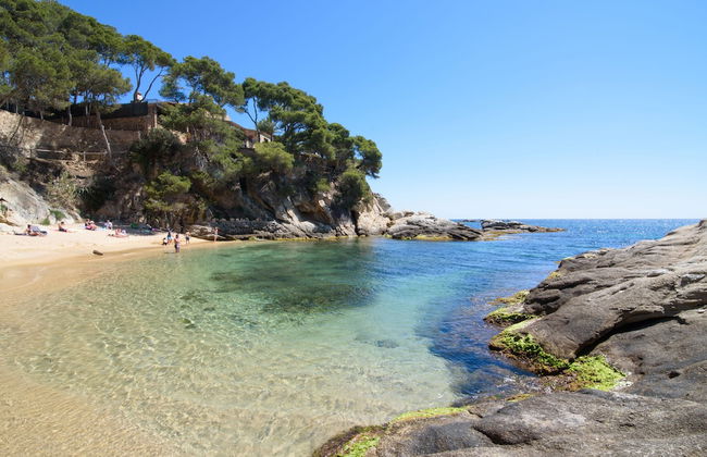 Aparthotel Ciutat de Palol - Foto 61