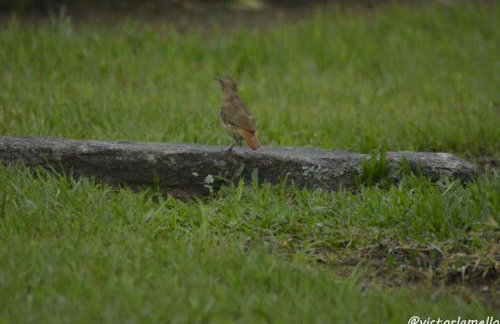 A Casinha Lumiar - Foto 52