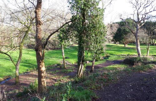 Woodland Retreat - Foto 39