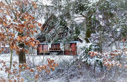 Ferienhaus Laange - Foto 40