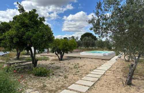 Amélia's House (Casa das Amélias) - Foto 31